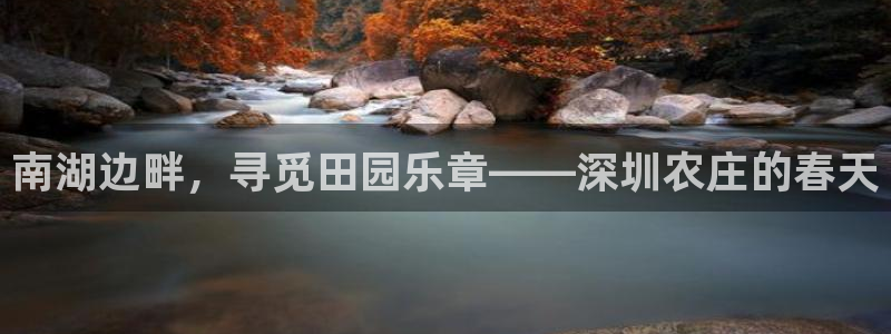 玩pG电子的软件