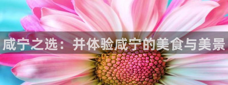 pg电子试玩版