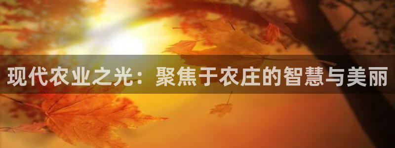 pg电子麻将胡胡了输