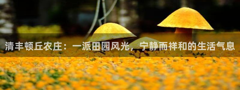 电子pg赏金女王