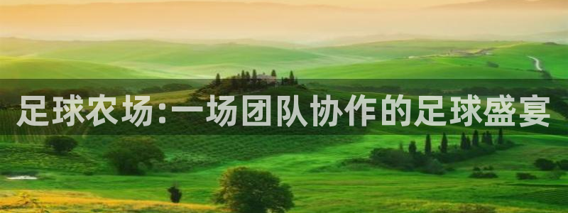 pg电子麻将胡胡了输