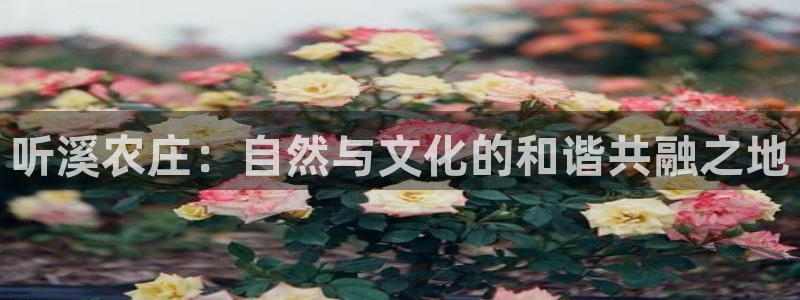pg电子游戏哪里玩