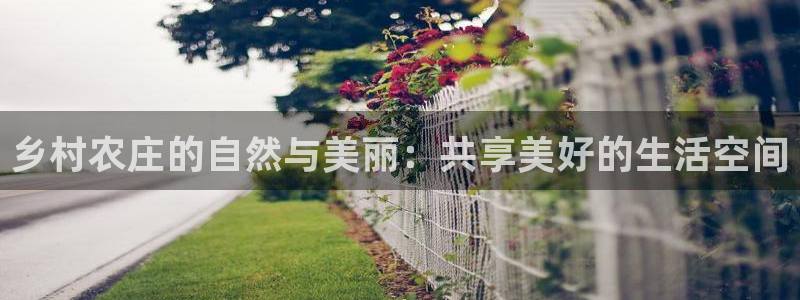 pg电子 爆分sp