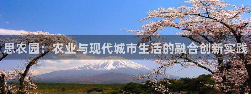 pg雪崩 电子说明书