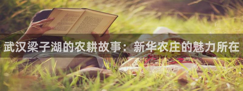 PG电子游戏你输了多少