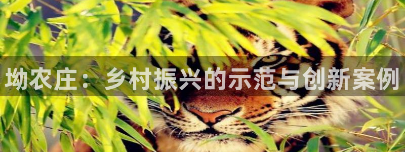 pg电子维护后
