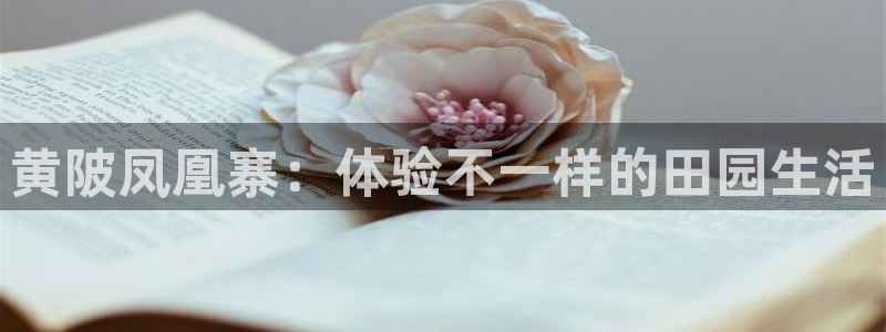 pg电子比基尼爆分技巧