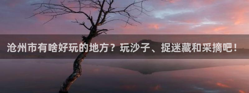 pg电子系列爆分视频