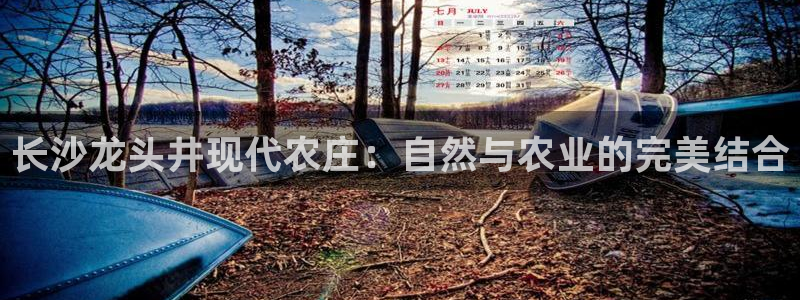 PG电子少林足球规则