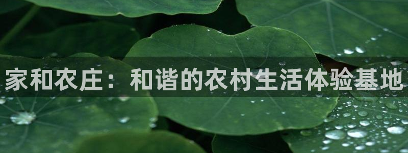 PG电子代理