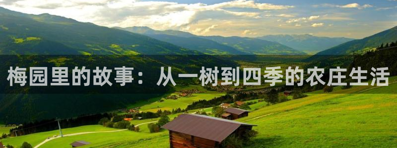 pg电子娱乐单机