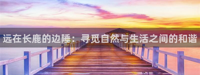 pg电子西游记爆分视频