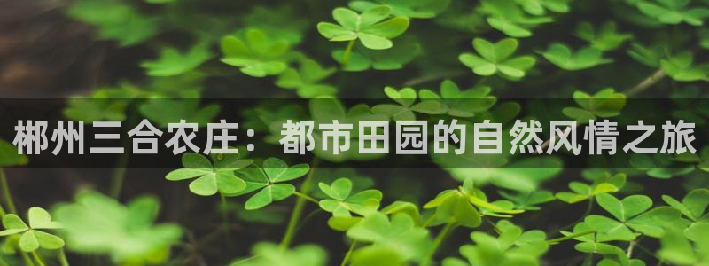 pg电子游戏哪个平台好