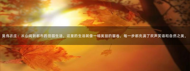 pg电子是谁开发的