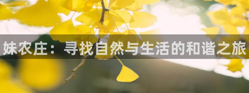 pg电子麻将胡了游戏大奖视频