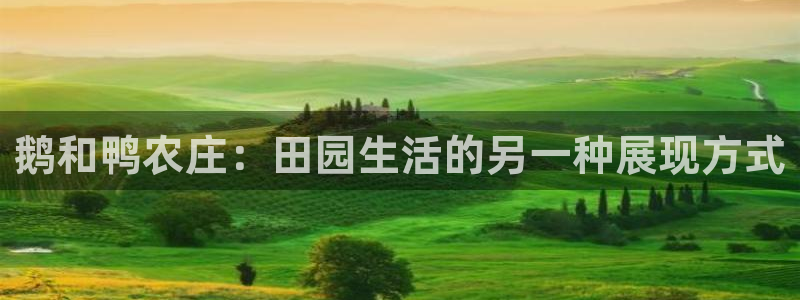 最大pg电子游戏官网