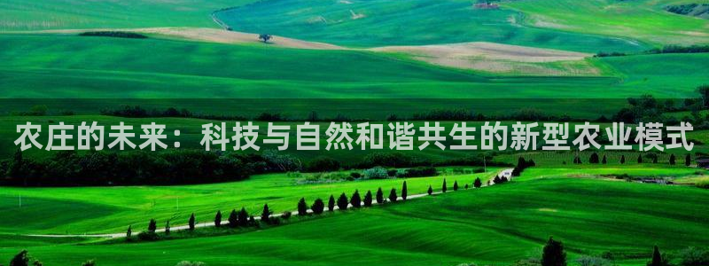 pg电子哪个游戏容易出高分