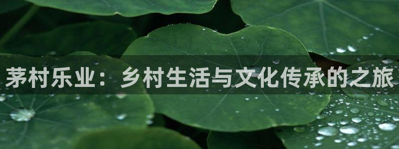 pg电子玩法心得