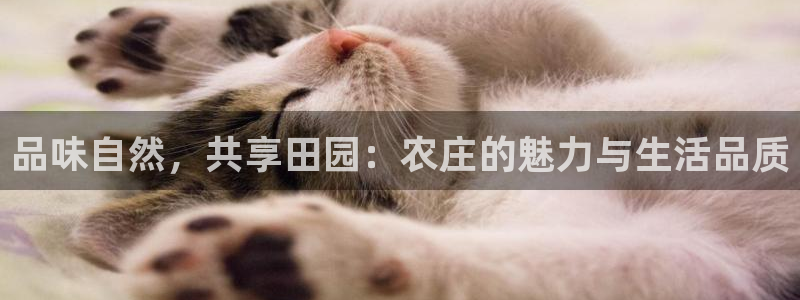 pg电子游戏平台哪个