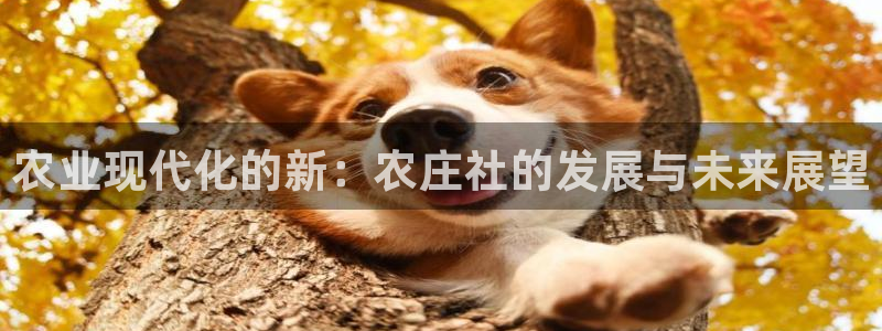 PG电子ly七九典cn