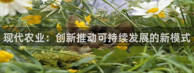 pg电子不凡成就非凡