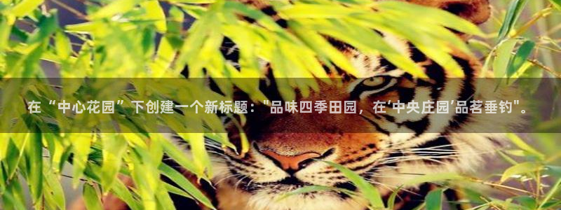 十年安全老品牌pg电子