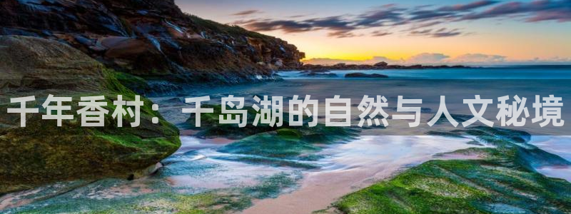 pg电子娱乐单机