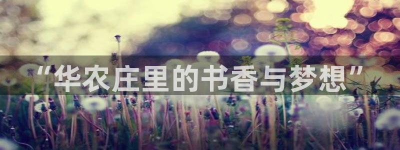 pg电子买免费旋转