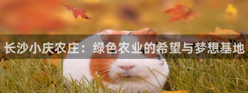 电子鼓pg怎么样