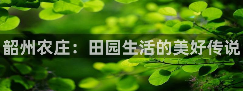 pg电子体验网站