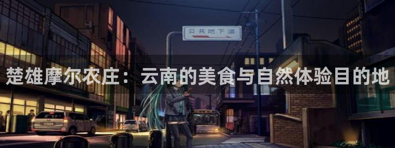 网络上的电子赌博PG