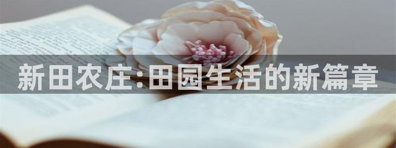 pg电子三只