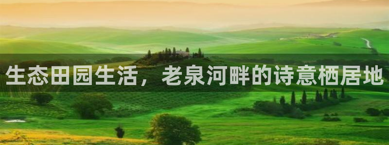 pg电子游戏规律