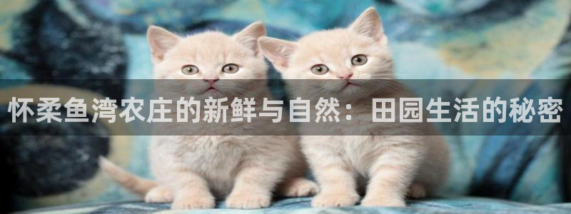pg电子入口