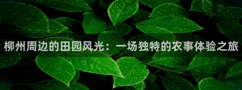 麻将胡了2pg电子下载