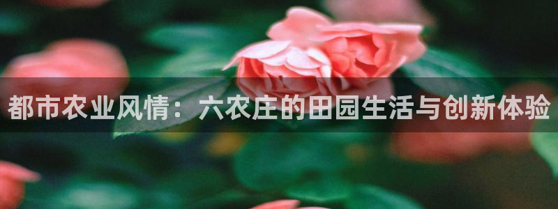 pg电子体育台