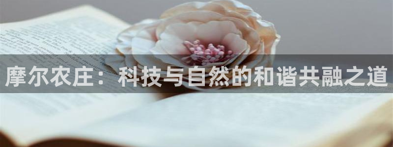 pg电子技巧攻略
