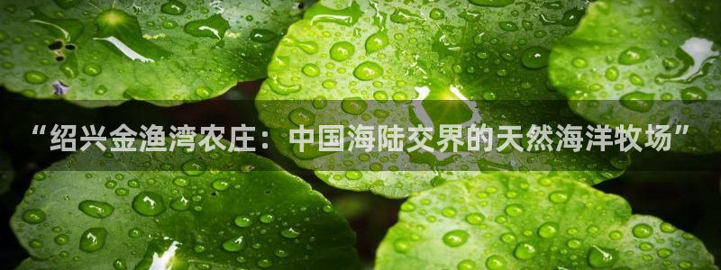 pg电子赌博