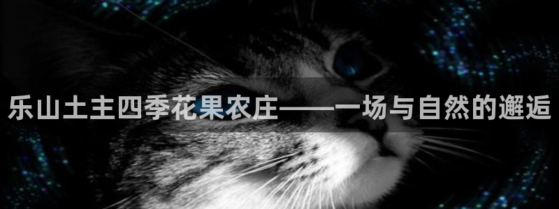 pg电子赏金船长技巧