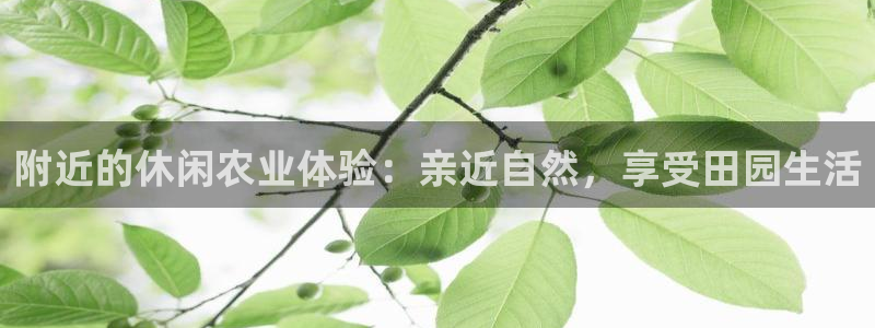 pg阿拉丁神灯电子