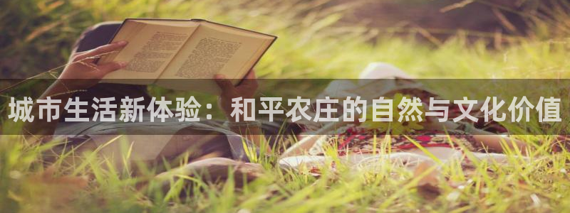 pg电子双喜临门维护