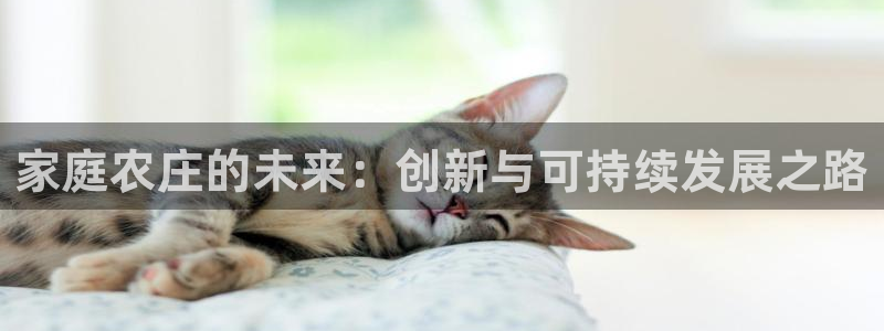 pg电子官网版