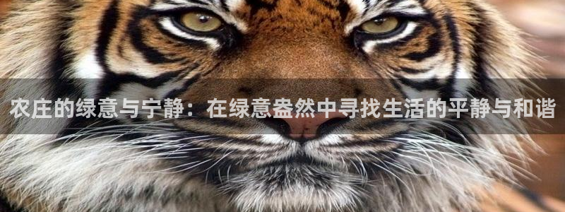 电子pg游戏怎么玩