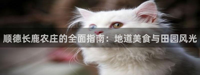 pg电子哪个更容易出奖