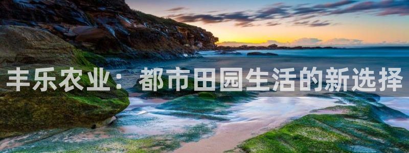 pg电子旺旺旺爆分视频