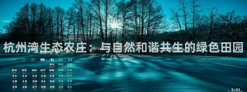 pg电子棋牌爆发视频