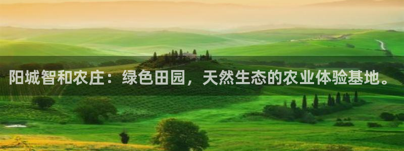 pg电子美猴王传奇爆奖