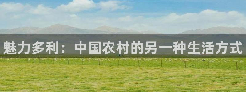 体育娱乐入口pg电子