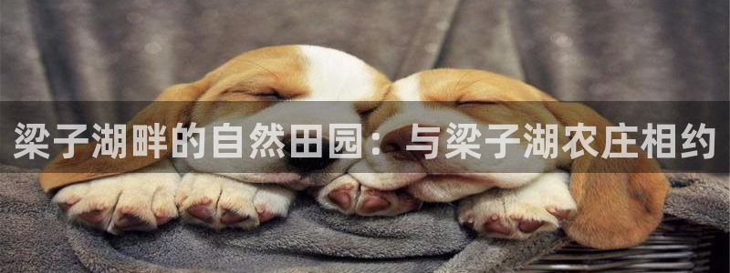 pg电子游戏试玩网