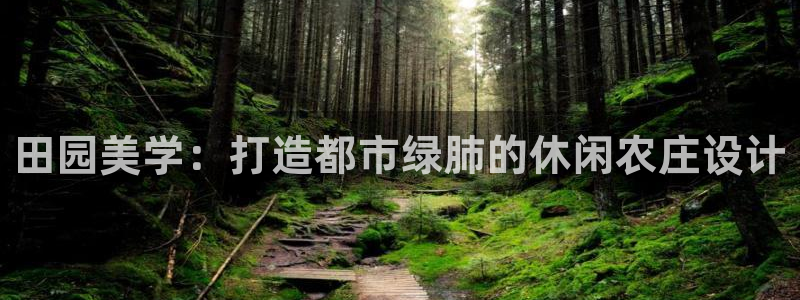 pg电子黄金城视频